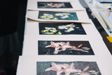 Through the Artist’s Frame: Floral Monotypes with Yanyun Chen