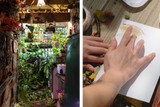 From Site to Print | Hidden Treasures, Uncovered Textures