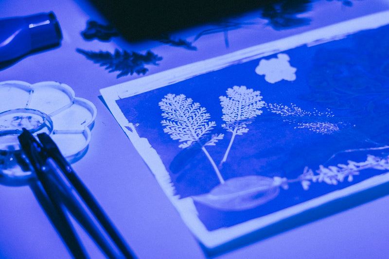 Cyanotype Workshop | Brushes of Light