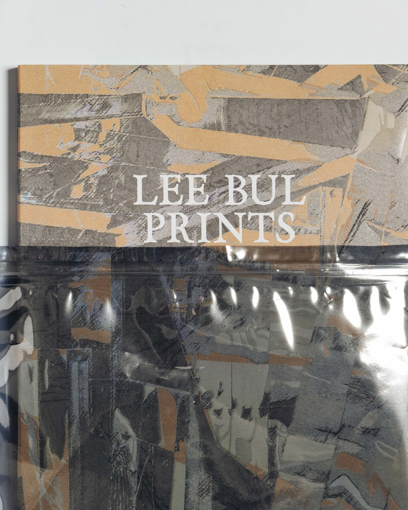 Lee Bul: Prints