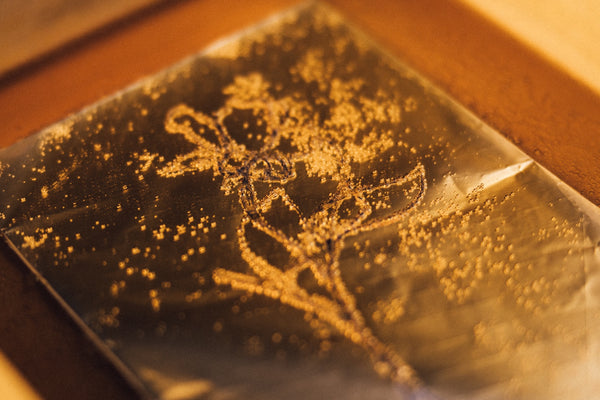 Kitchen Lithography Workshop | Carbonated Creations
